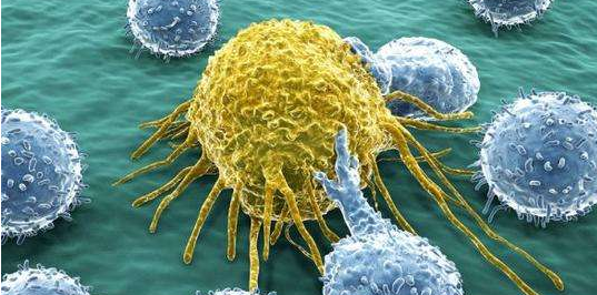 癌症晚期要不要治疗,真实抗癌案例:癌症晚期靠