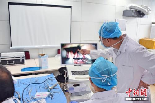 王明宇 摄 王明宇 摄