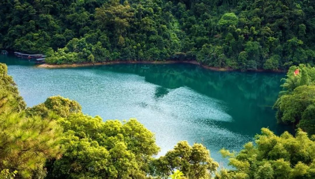 鼎湖的GDP_鼎湖峰图片(2)