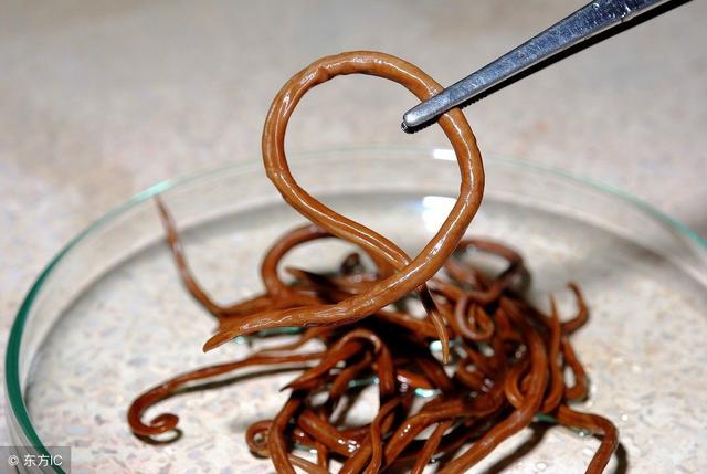 5个症状表明你体内可能有蛔虫—成人和小孩都适用症状1:食欲不振