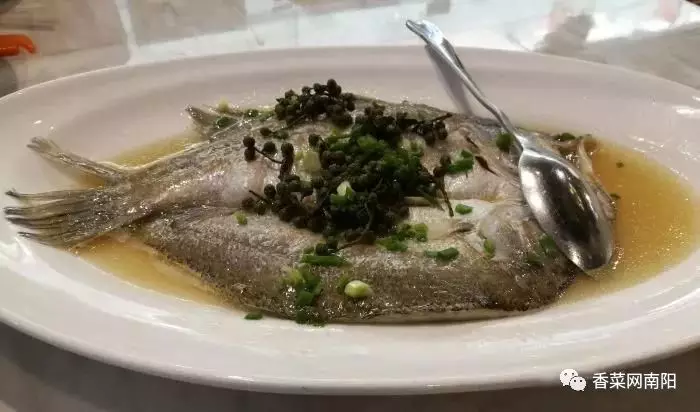 三种深海鱼对比游龙斑欧鲽鱼海鲈鱼每位厨师都应该知道