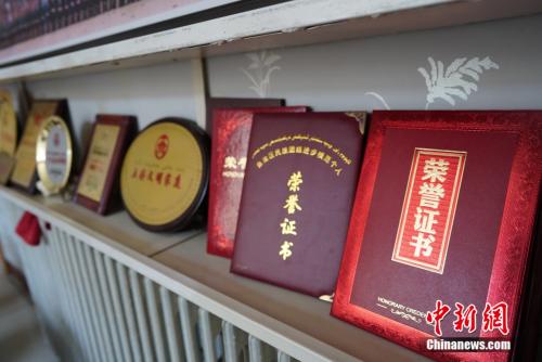 　吴秀芳家有一面荣誉墙，摆满了各种荣誉证书和奖杯。刘湃 摄
