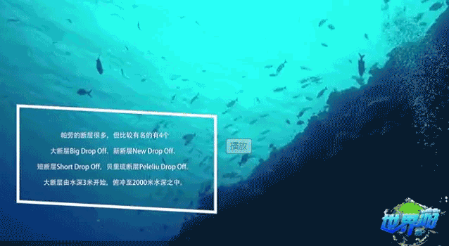 《延禧攻略》中的富察立体去帕劳v攻略了?视频生日贺卡皇后图片