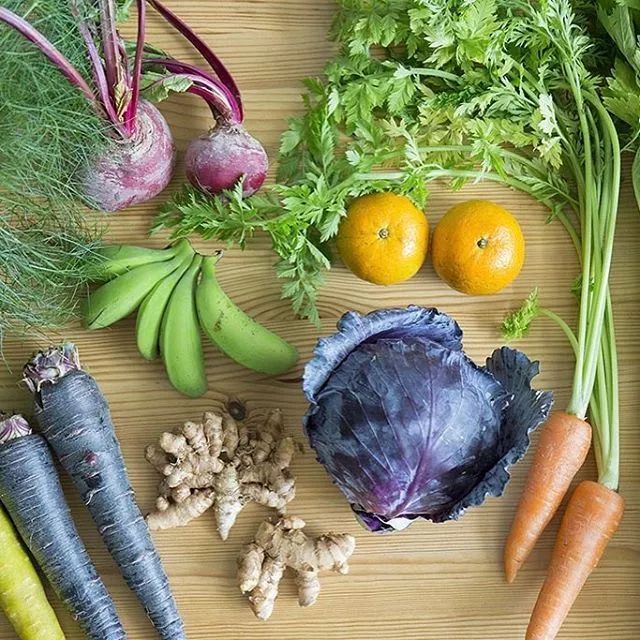 好物 | 大S用冰水洗脸,贝嫂用鸟粪敷脸,女明星为