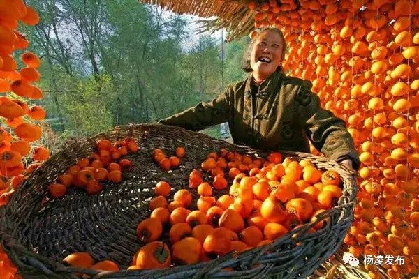 首届中国农民丰收节庆典活动怎么安排?农民
