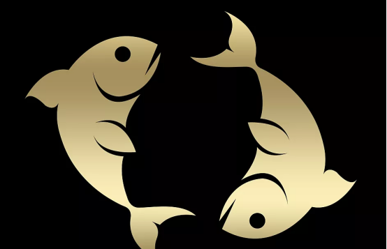 112300d00a5a4996bb10c857e2a9cdb3.png 112300d00a5a4996bb10c857e2a9cdb3.png