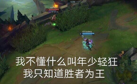 VG打野当作表情:没把他回应真假表情包伪装王思聪图片