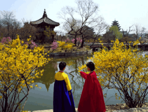 赴韩旅游的中国人数量增多近一半, 韩国网友: 中