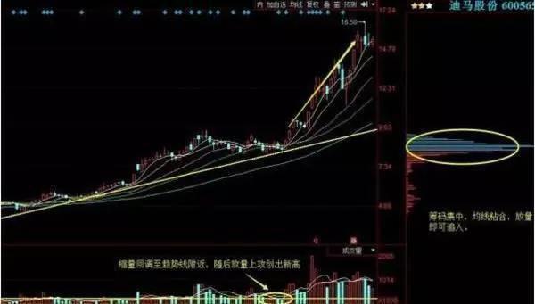 立桩量的指标 1548852D73DD2E7E42E5E7B98EADCFD441818E5B_size20_w600_h341.jpeg