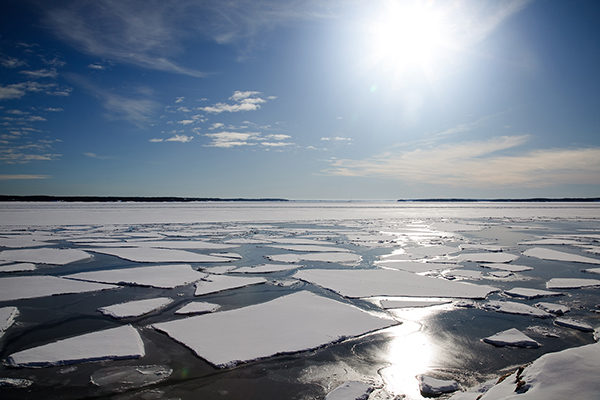 全球“最后一片冰区”告急，北极最古老最厚冰层首次破裂