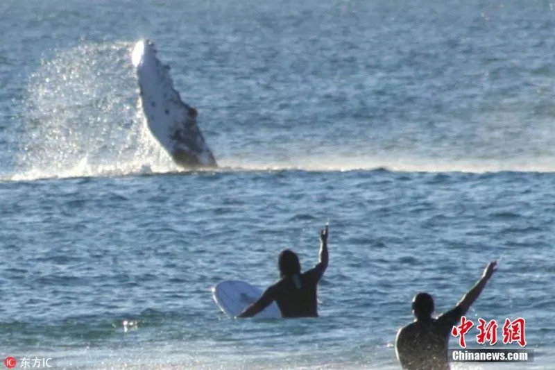 我国学者发现新一类半金属；乱丢隐形眼镜污染水源丨科技早新闻