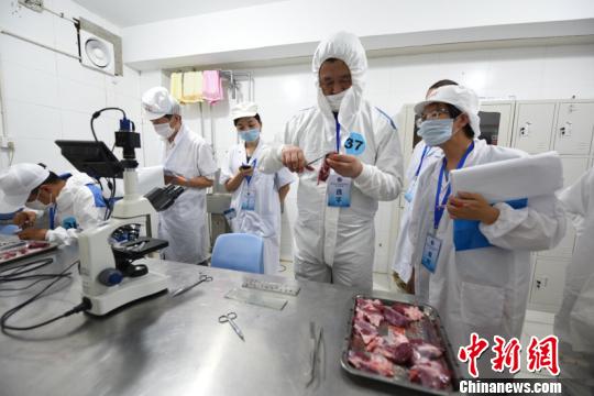 福建省动物检疫检验员技能竞赛屠宰同步检疫现场技能操作考核现场。刘文标摄。