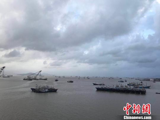 “苏力”致东海现大浪 浙江两万余艘渔船“回避”台风