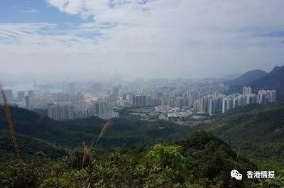 香港有人口山_香港人口密度