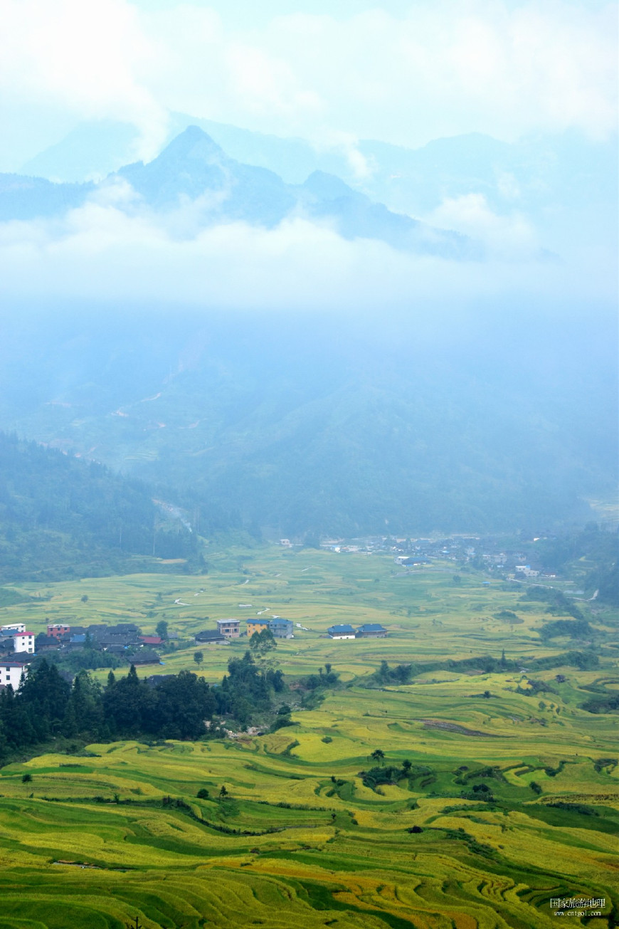 国家旅游地理实拍贵州从江高麻梯田,金色的乡村田园