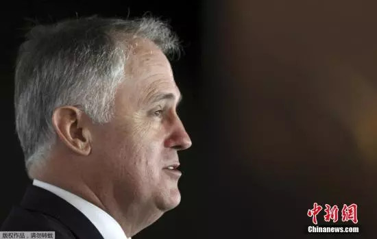 关注 | 澳大利亚总理特恩布尔宣布辞职 莫里森任总理