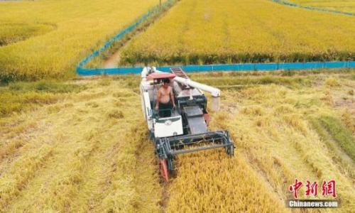 2018年中国早稻产量2859万吨 同比下降4.3%