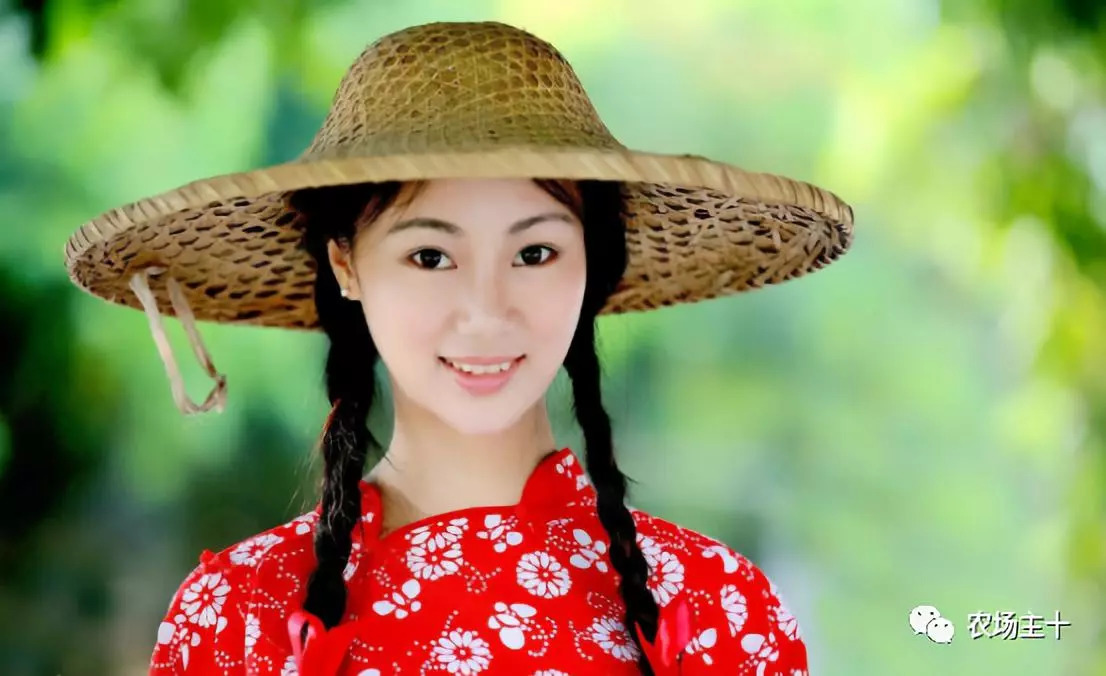 我是农民的儿子,我害怕亲眼目睹家乡变成 假乡