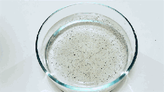 这20个科学小魔术,一学就会