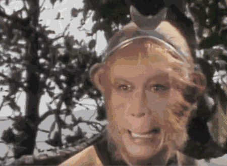 孙悟空为什么总喜欢给人(妖)当外公?| 好课推荐