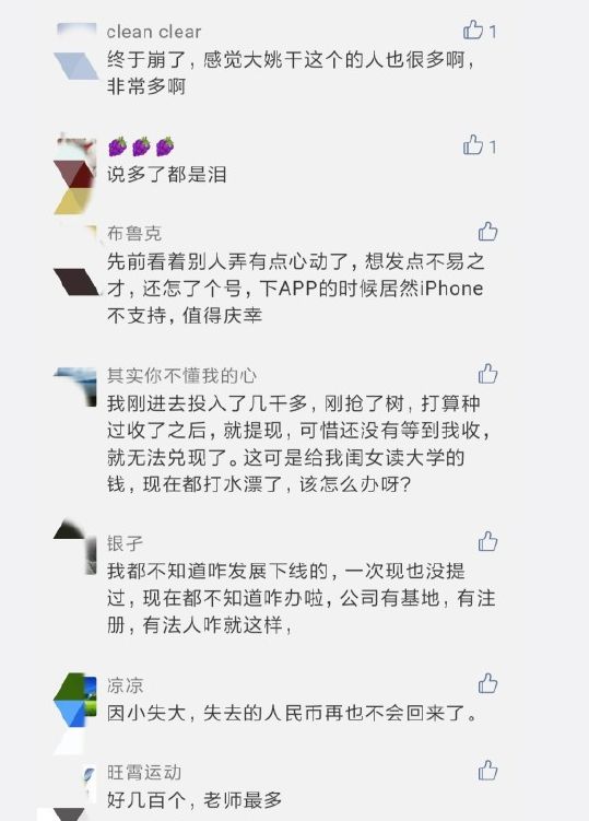蜀桑源崩盘,楚雄多人中招…