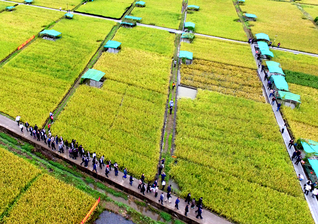 车辆购置税法、耕地占用税法草案提请全国人大
