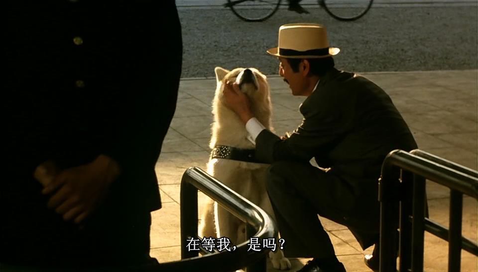 被这只“狗祖宗”虐哭了