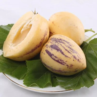 万万没想到!《西游记》里的人参果,有可能是十