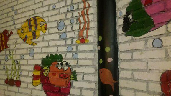 赵丽颖在横店开的烤鱼店,颖火虫们不来围观下