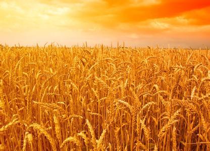 雪岩点金:8.29商品期货各大板块国际资讯要闻