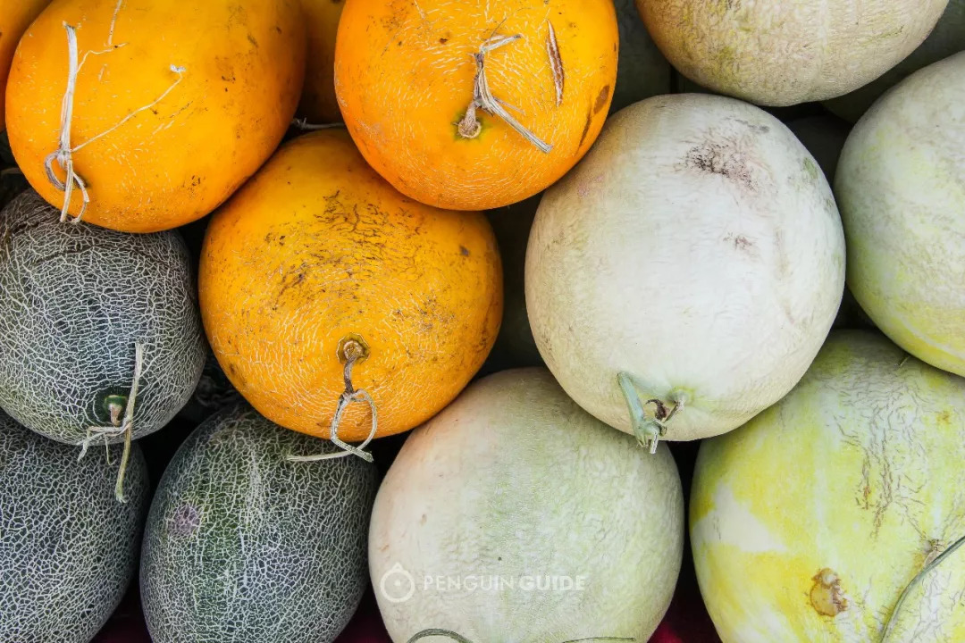 乌鲁木齐:打个飞的磕水果,一不小心还吃了羊腰
