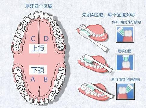 千山电动牙刷的正确使用方法?口腔护理干货分