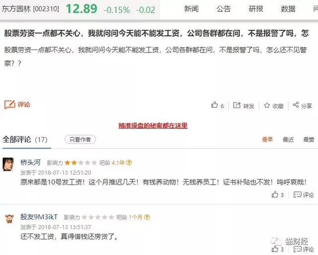 收入证明_什么是捐赠收入(2)
