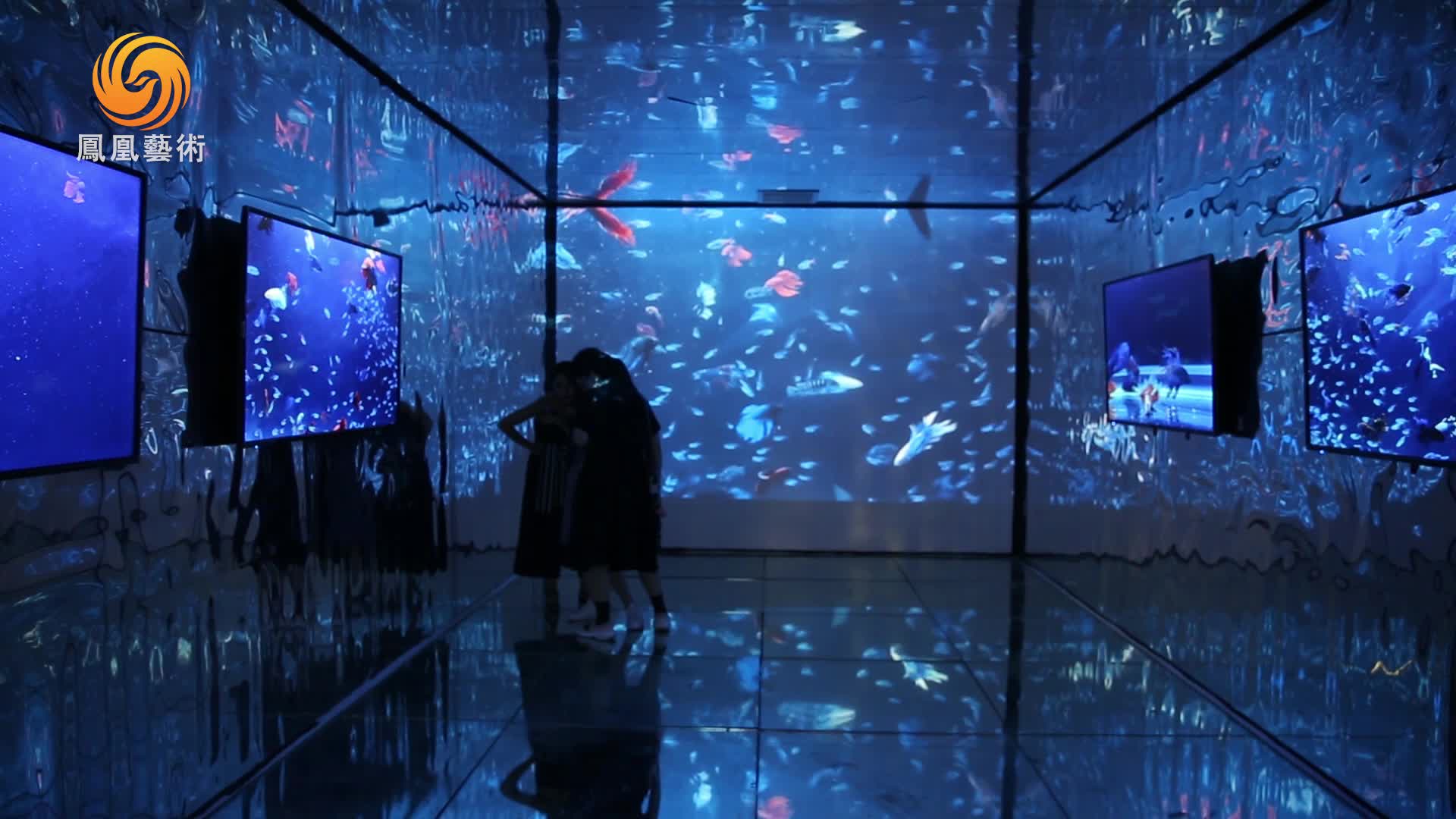 手机作为艺术语言 美术馆“白盒子”的灵光能否再现？