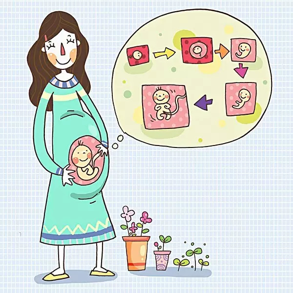 影响女性生育能力的七大因素