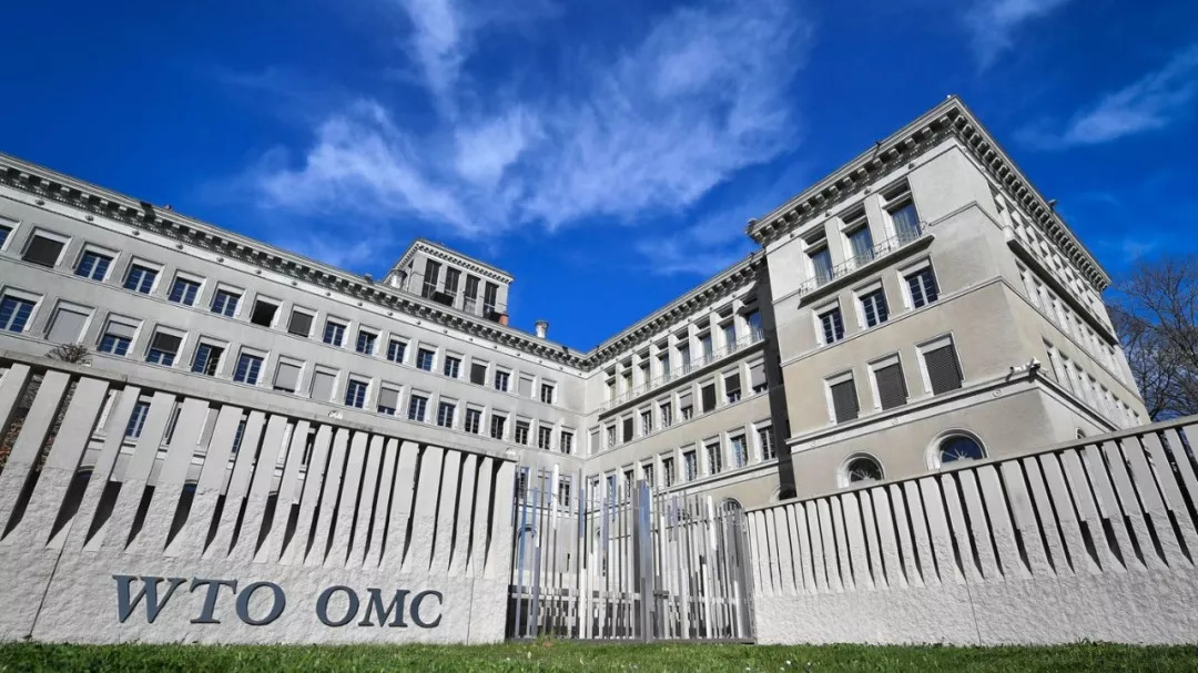 又要退群?特朗普:WTO若不改善,美国或退出