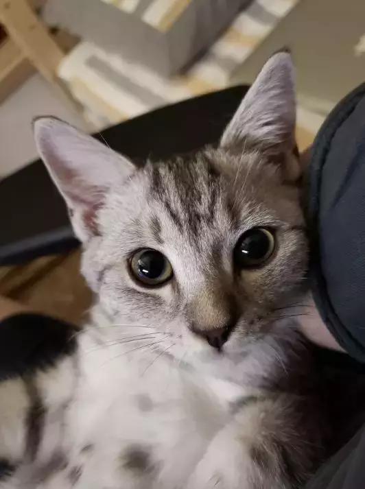 我试用了一下三星 Note 9 的笔，突然感慨万千