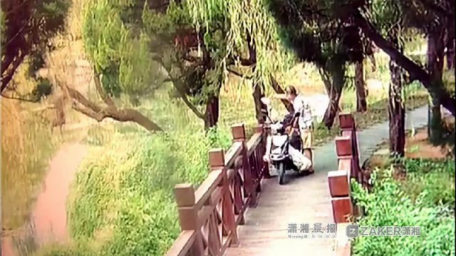 湖南男子庆儿子考上重点大学 在公园放生2条蛇被拘