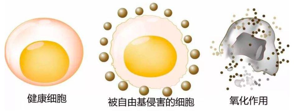 童颜少女徐若瑄撞脸假笑男孩,不老传说终走下