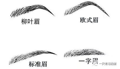 理发加修眉花了三万八，这个发际线男孩一夜爆火了