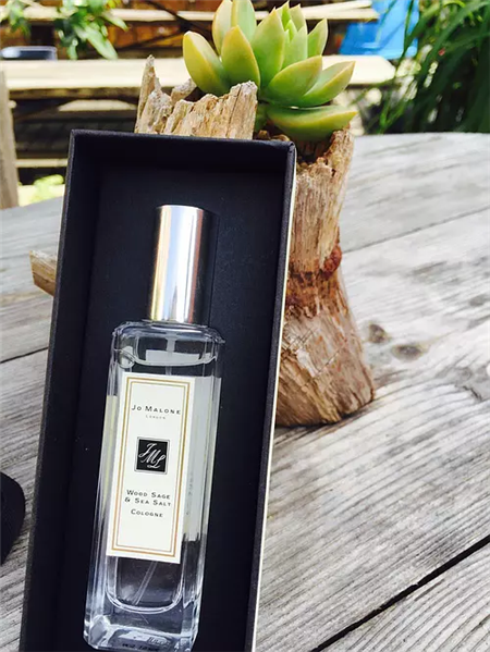 超烧的男士香水,祖马龙的鼠尾草和爱马仕大地