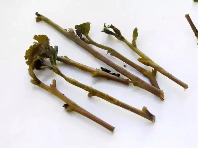 喝过的茶叶可做养生茶叶枕头