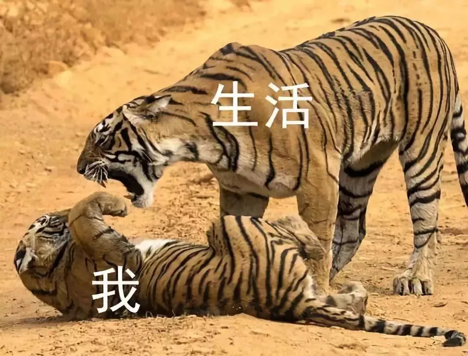 22 个日常生活漫画,这不就是拖延又不想干活的你吗?