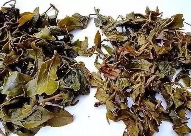 喝过的茶叶可做养生茶叶枕头