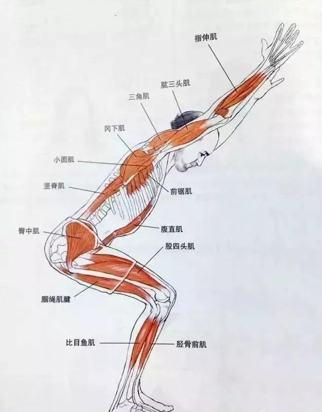 瑜伽体式精讲:幻椅式 美化腿部线条 还可以预防