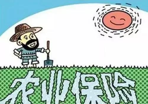 大灾过后快脑补:农业保险,怎么买才真保险?