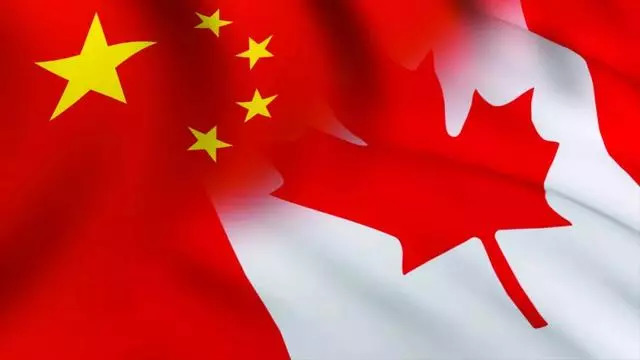 中国人VS加拿大人的日常,完全是两种不同的人