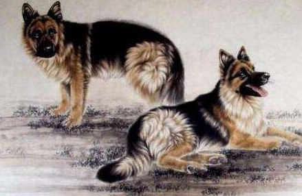 属狗2019年佩戴什么吉祥物好