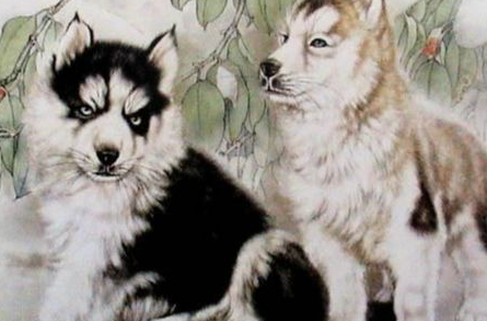 属狗2019年佩戴什么吉祥物好