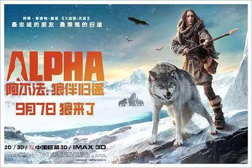 想看地球两万年前的风景?《阿尔法:狼伴归途》这类“壁纸”有很多|新片观察